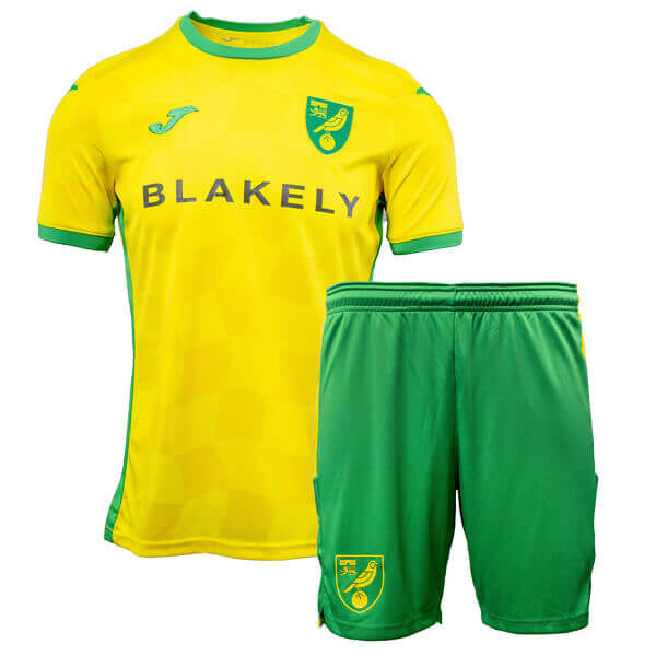 Conjunto Infantil Norwich City 2024/25 Amarelo - Modelo Torcedor