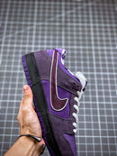 Tênis Nike SB Dunk Low x Concepts - Rei da Pelada