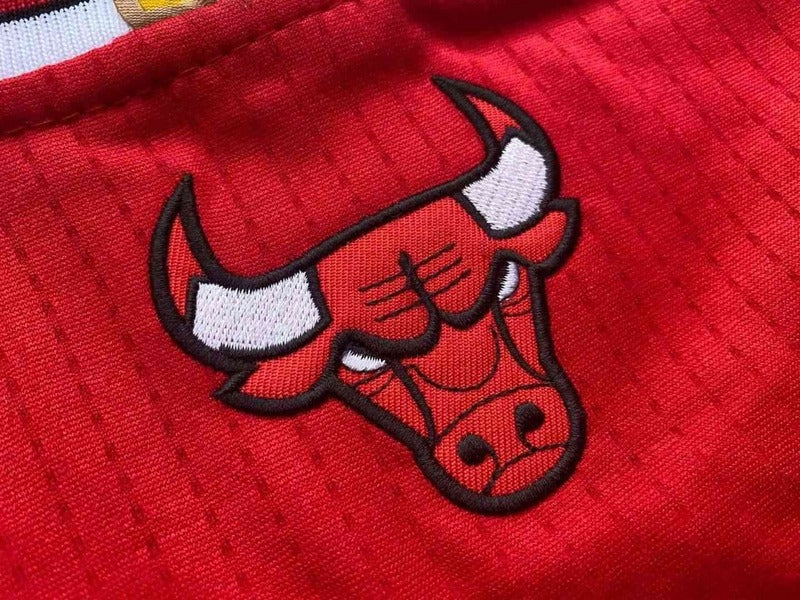 Regata Chicago Bulls Away Adidas Jordan